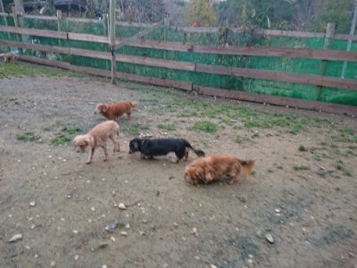 f:id:roukenhome-ann:20181123184315j:plain