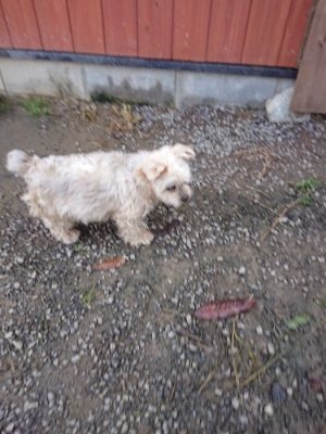 f:id:roukenhome-ann:20181123184331j:plain