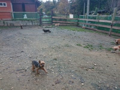 f:id:roukenhome-ann:20181123184342j:plain