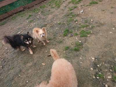 f:id:roukenhome-ann:20181123184407j:plain