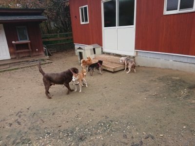 f:id:roukenhome-ann:20181123184413j:plain