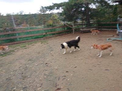 f:id:roukenhome-ann:20181124090401j:plain