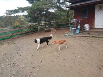 f:id:roukenhome-ann:20181124090424j:plain