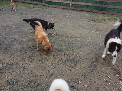 f:id:roukenhome-ann:20181124090438j:plain