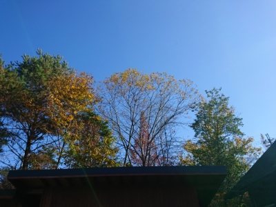 f:id:roukenhome-ann:20181124090634j:plain