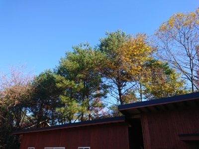 f:id:roukenhome-ann:20181124090650j:plain
