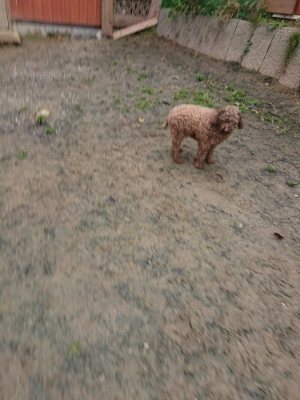 f:id:roukenhome-ann:20181124090704j:plain