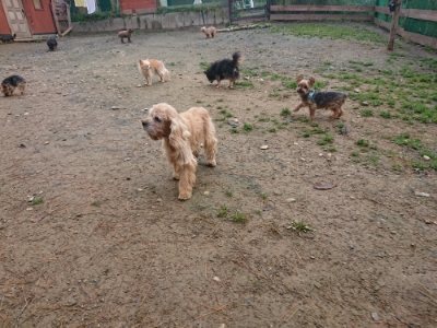 f:id:roukenhome-ann:20181124090838j:plain