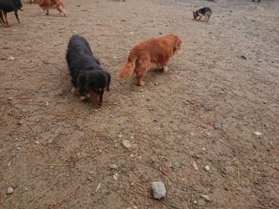 f:id:roukenhome-ann:20181124090905j:plain