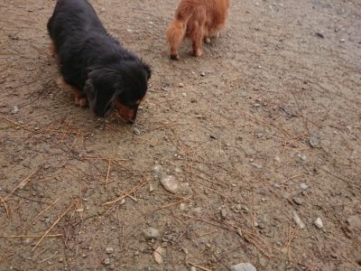 f:id:roukenhome-ann:20181124090945j:plain