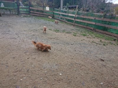 f:id:roukenhome-ann:20181124090950j:plain