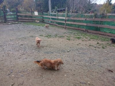 f:id:roukenhome-ann:20181124090959j:plain