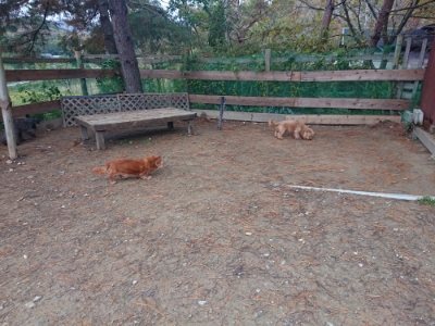 f:id:roukenhome-ann:20181124091012j:plain
