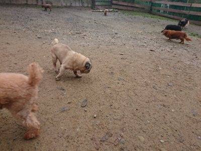 f:id:roukenhome-ann:20181124091029j:plain