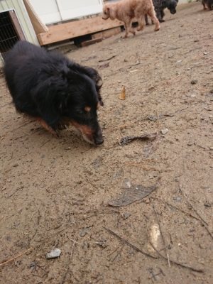 f:id:roukenhome-ann:20181124091047j:plain