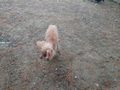 f:id:roukenhome-ann:20181124091138j:plain