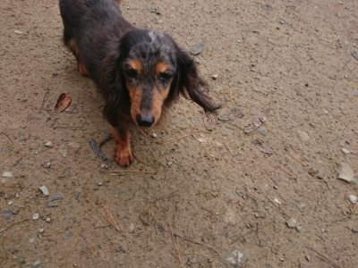f:id:roukenhome-ann:20181124123435j:plain