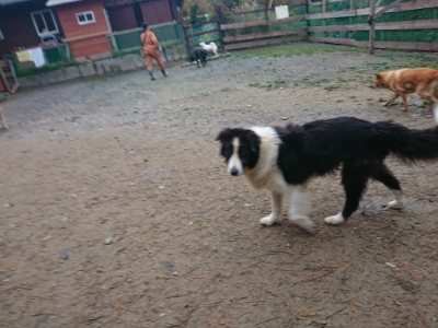 f:id:roukenhome-ann:20181124123505j:plain