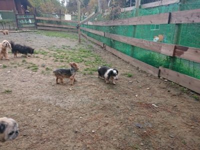 f:id:roukenhome-ann:20181124124407j:plain