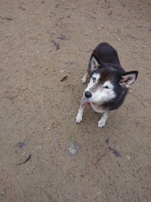 f:id:roukenhome-ann:20181124124529j:plain