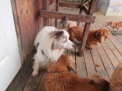 f:id:roukenhome-ann:20181124124632j:plain