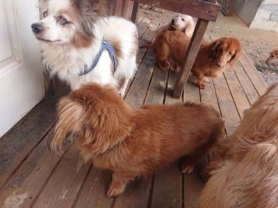 f:id:roukenhome-ann:20181124124656j:plain