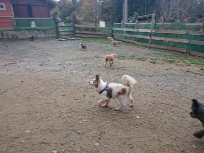 f:id:roukenhome-ann:20181124124806j:plain