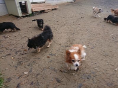 f:id:roukenhome-ann:20181124124814j:plain