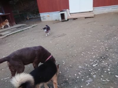 f:id:roukenhome-ann:20181127053248j:plain