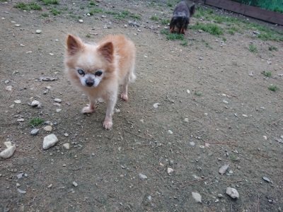 f:id:roukenhome-ann:20181127053336j:plain