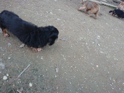 f:id:roukenhome-ann:20181127053406j:plain