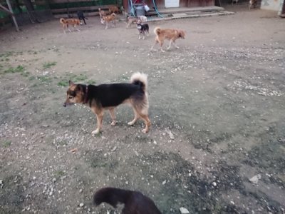 f:id:roukenhome-ann:20181127053528j:plain