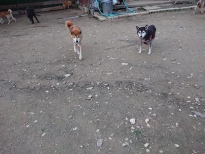 f:id:roukenhome-ann:20181127053532j:plain
