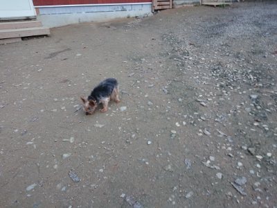 f:id:roukenhome-ann:20181127053550j:plain