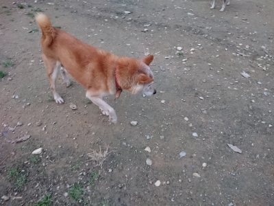 f:id:roukenhome-ann:20181127053558j:plain