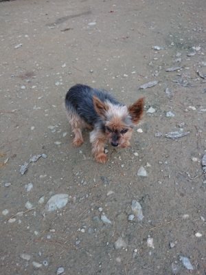 f:id:roukenhome-ann:20181127053623j:plain