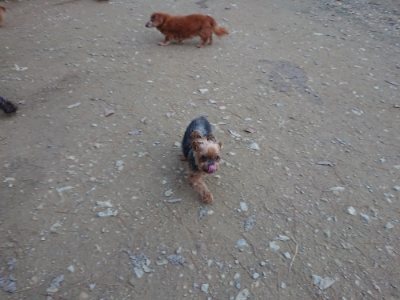 f:id:roukenhome-ann:20181127053753j:plain