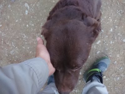 f:id:roukenhome-ann:20181127053832j:plain