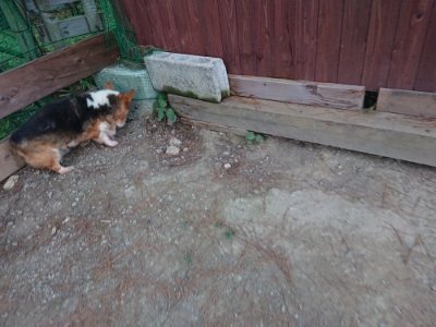f:id:roukenhome-ann:20181127070638j:plain
