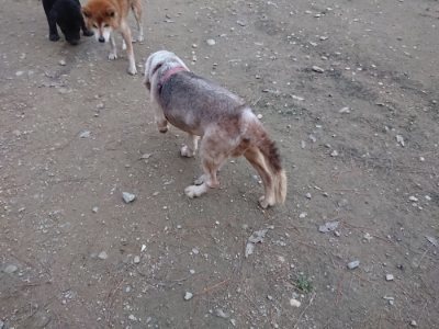 f:id:roukenhome-ann:20181127070720j:plain