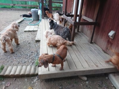 f:id:roukenhome-ann:20181127070758j:plain
