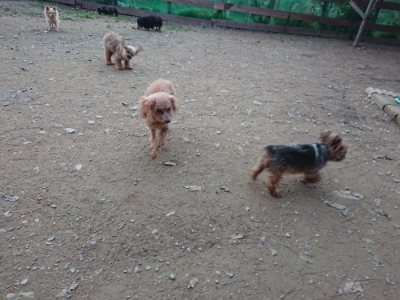 f:id:roukenhome-ann:20181127070835j:plain