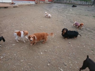 f:id:roukenhome-ann:20181127070910j:plain