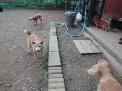 f:id:roukenhome-ann:20181127070914j:plain
