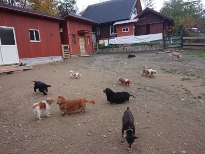 f:id:roukenhome-ann:20181127070927j:plain