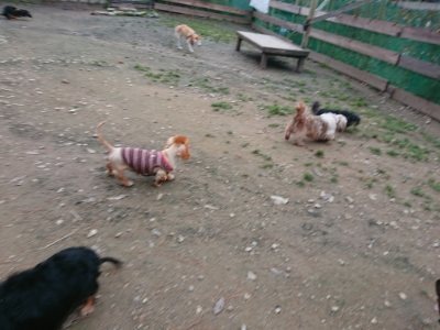 f:id:roukenhome-ann:20181127070937j:plain