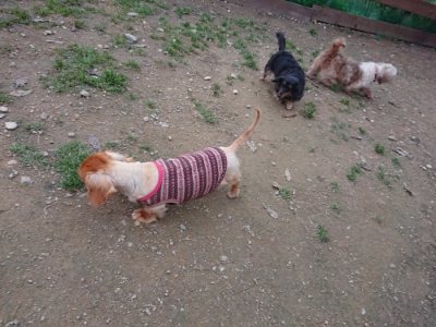 f:id:roukenhome-ann:20181127070957j:plain