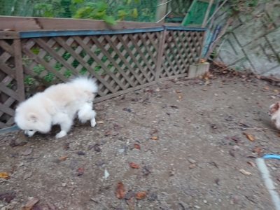 f:id:roukenhome-ann:20181127071010j:plain