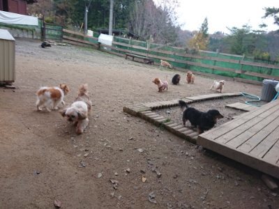 f:id:roukenhome-ann:20181127071027j:plain