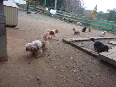 f:id:roukenhome-ann:20181127071036j:plain